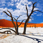 Dünen von Sossusvlei in Nambia
