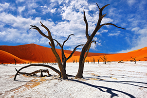 Dünen von Sossusvlei in Nambia
