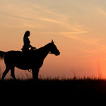 Reiten in Namibia