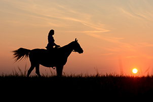 Reiten in Namibia